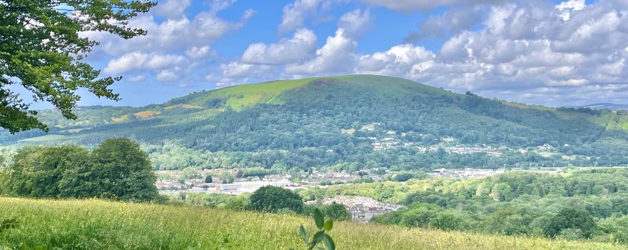 Fforest Fawr