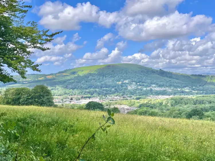Hotels in Tongwynlais