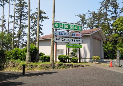 Ohayashi Tembo Park