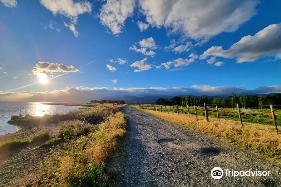 Lake Wairarapa