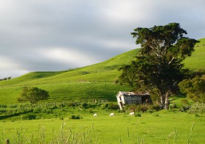 Hauraki Rail Trail