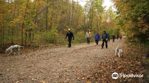 Mount Nemo Conservation Area