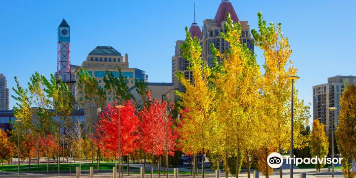 Mississauga Celebration Square