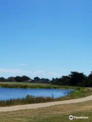 Sea Ranch Golf Links