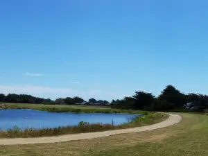 Sea Ranch Golf Links