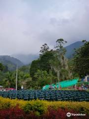 Parque Comfama la Estrella