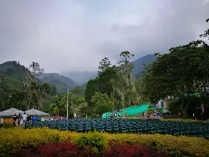 Parque Comfama la Estrella