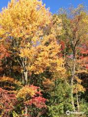 Bowman Orchards