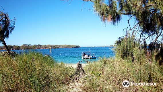 Queensland Scuba Diving Company