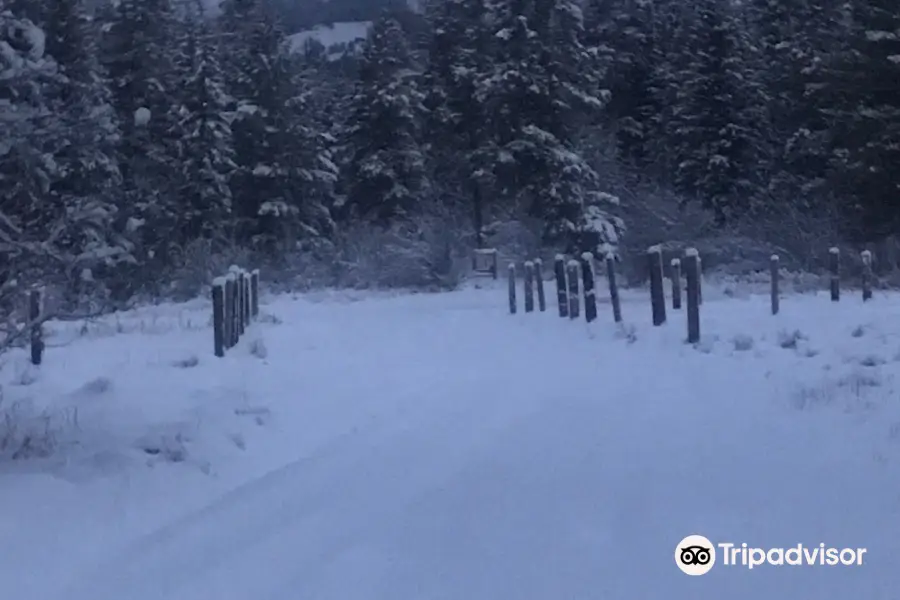 Dog Creek Trailhead