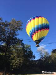 Balloons Over Asheville