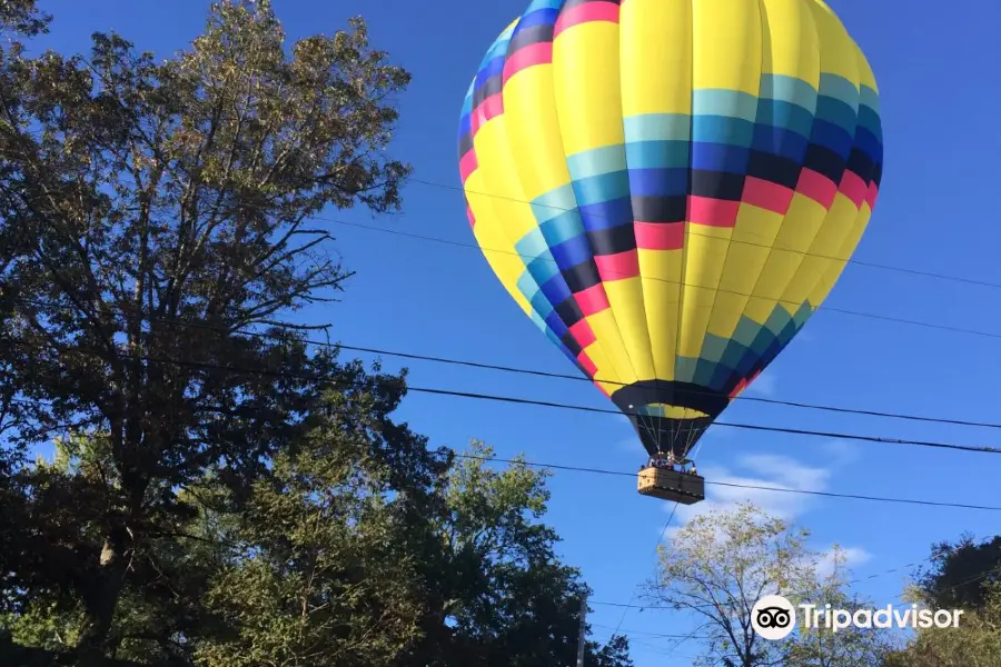 Balloons Over Asheville