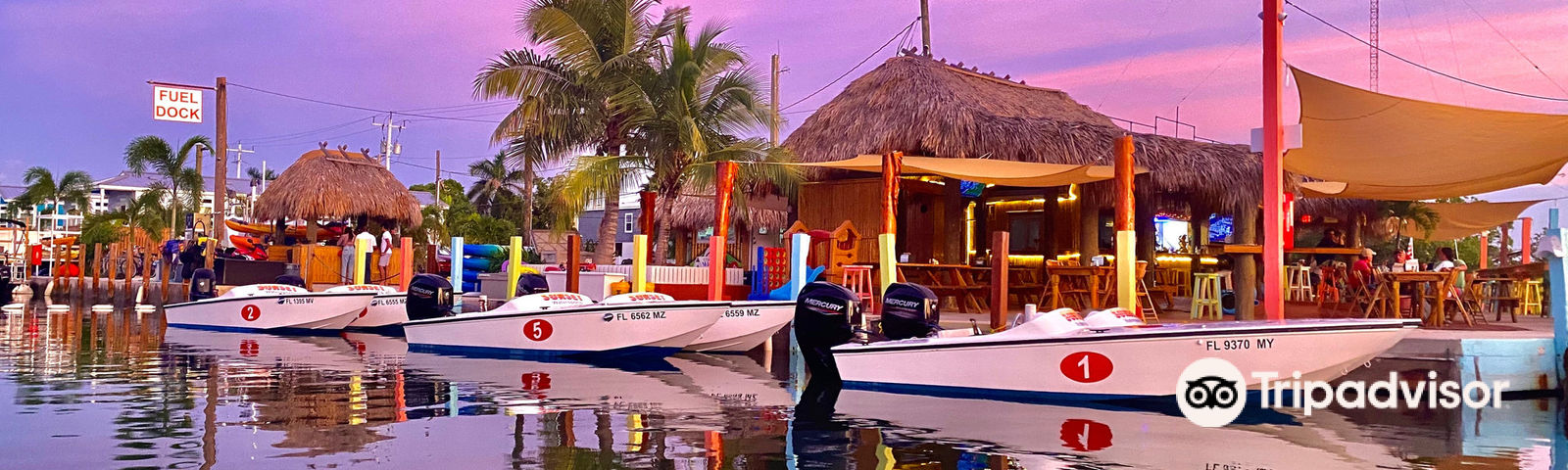 Key WestDay tours