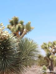 Prime Desert Woodland Preserve
