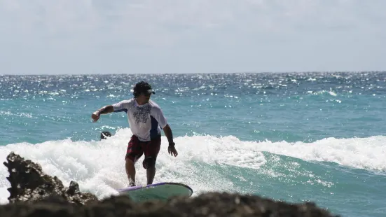 Bodie's School of Surf Barbados