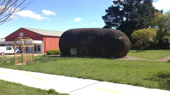 The Big Potato