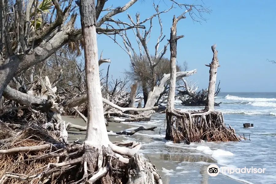 Boneyard Beach