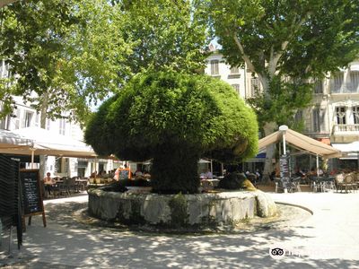 La Fontaine Moussue
