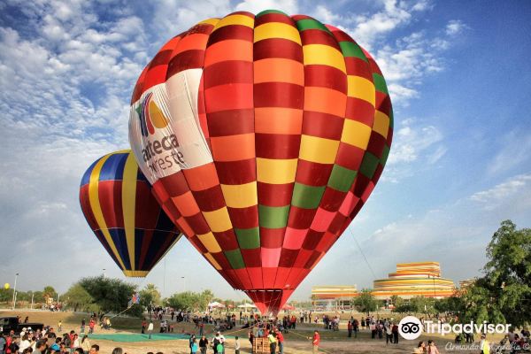 Merida to Reynosa flight