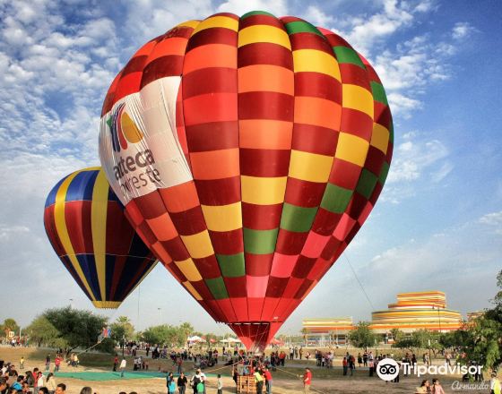 雷諾薩 自由行套票