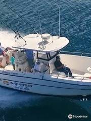 Channel Master Sport Fishing Charter