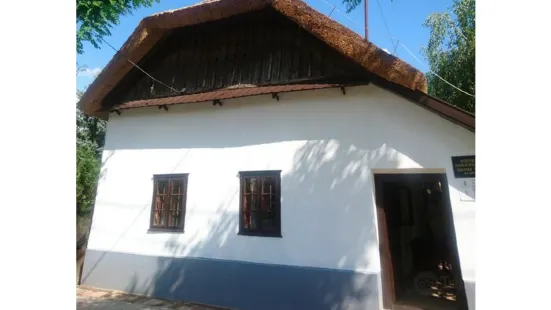 Slovak House