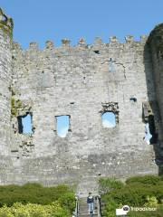 Carlow Castle