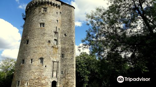 Château de Grand-Fougeray