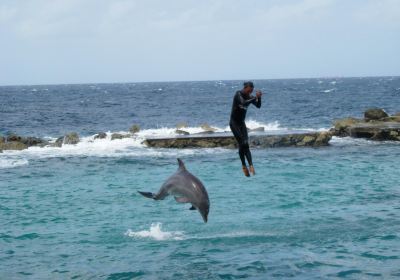 Curacao Underwater Marine Park