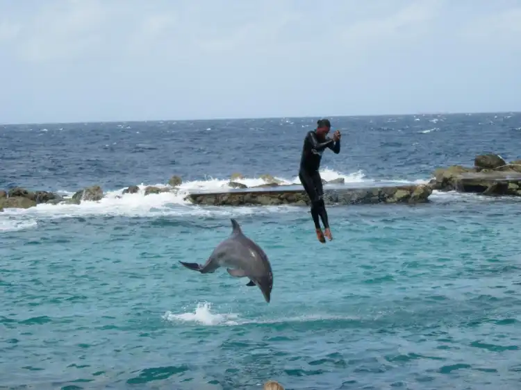 Hotel dekat Curacao Underwater Marine Park