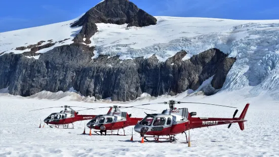 Alaska Icefield Expeditions