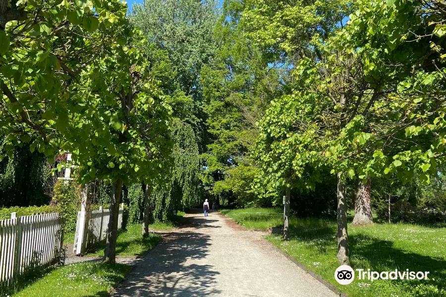 Kassel Botanical Garden