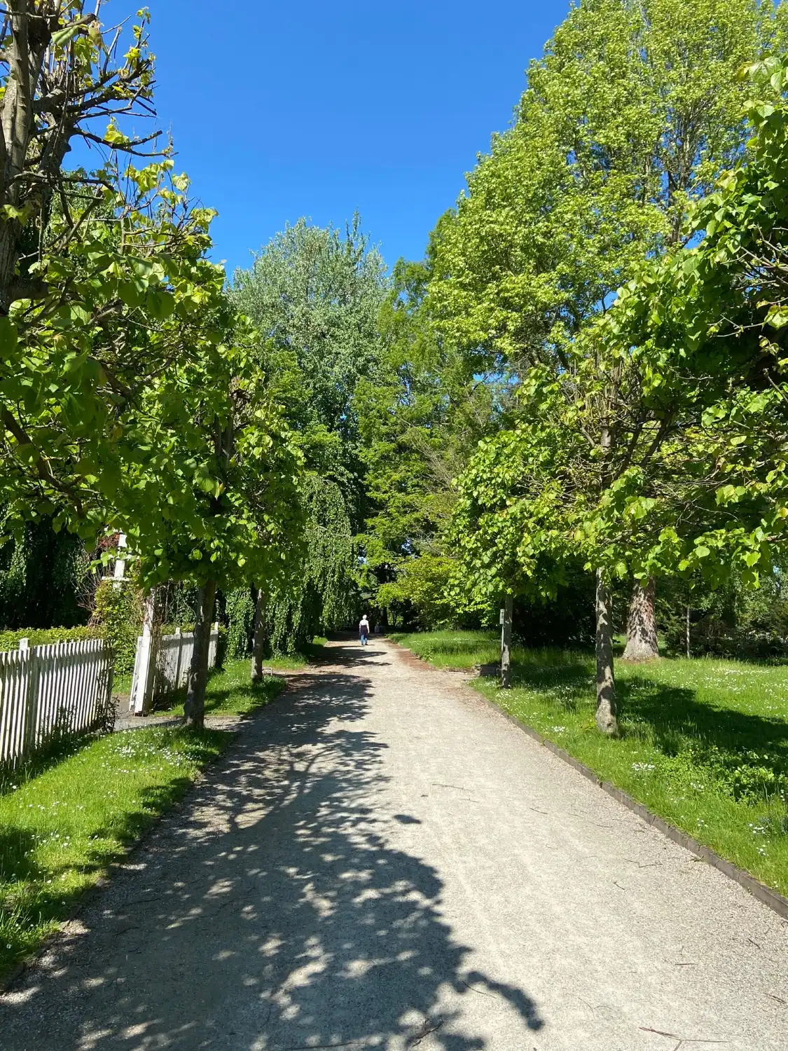 Hotel in zona Botanischer Garten