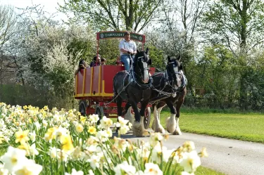 Solihull