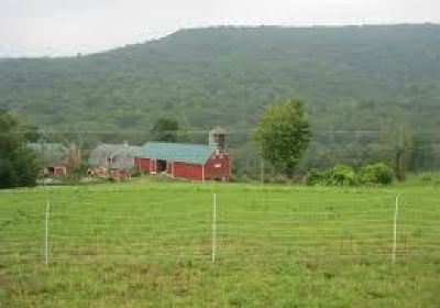 Stone Wall Dairy Farm