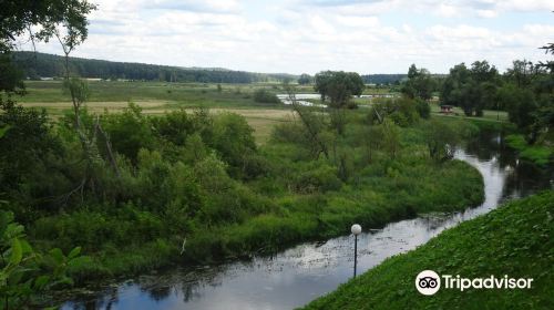 Knyszyn Forest Landscape Park