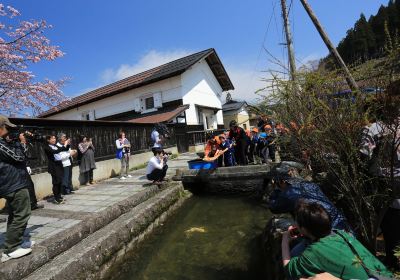 Ozeki Park