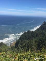 Cape Sebastian State Scenic Corridor