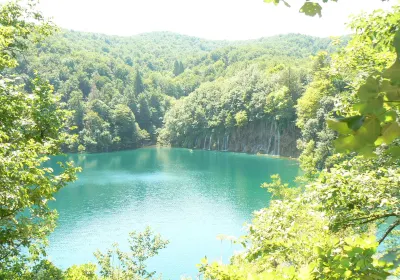 Lipovača Drežnička
