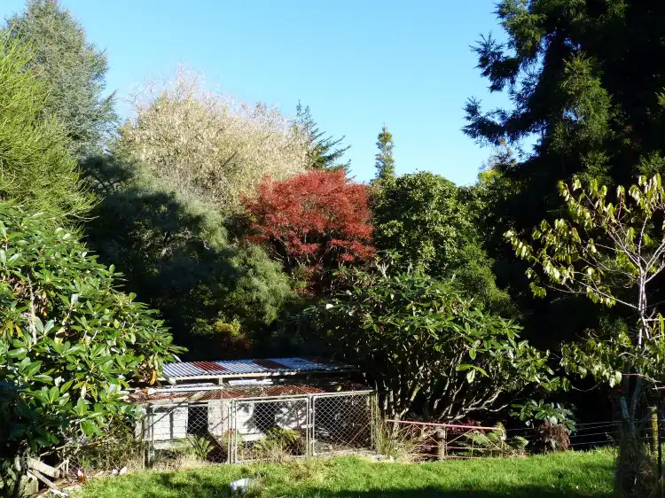 Hotels in Maniaiti / Benneydale