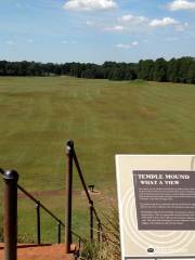 Kolomoki Mounds Historic Park