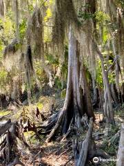 Palm Bluff Conservation Area