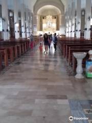 Immaculate Conception Parish - Batac Church