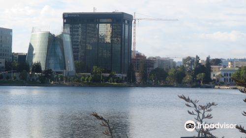 The Cathedral of Christ the Light