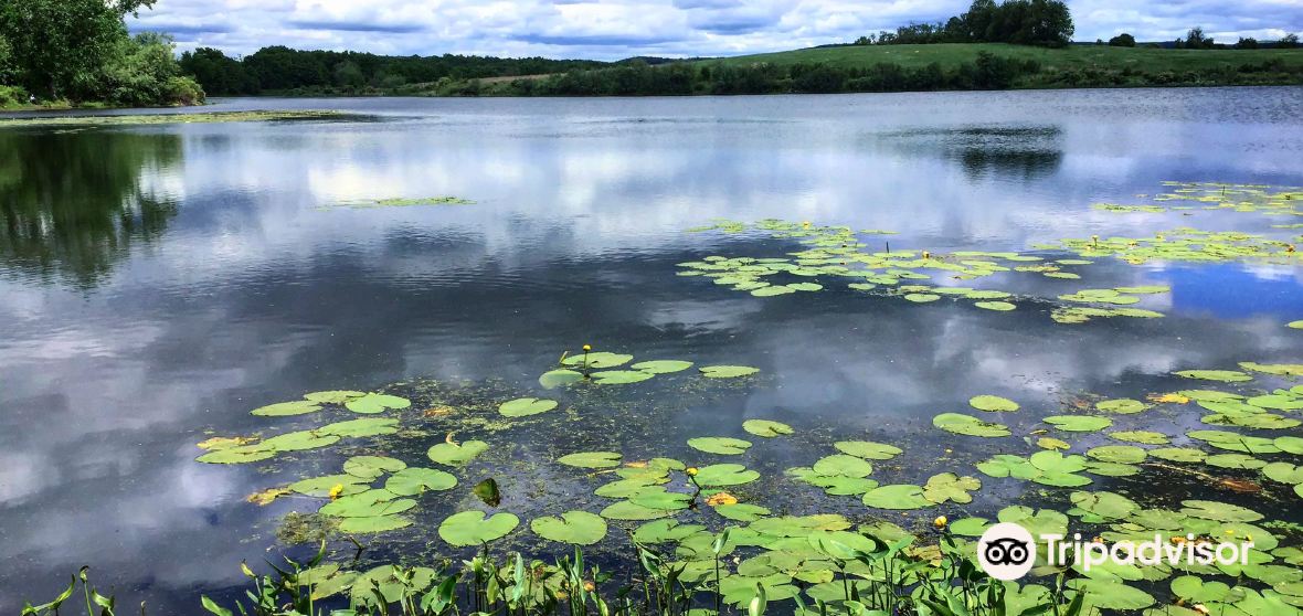 Things to Do in Chatham in 2024 Top Attractions, Local Food, Hotels