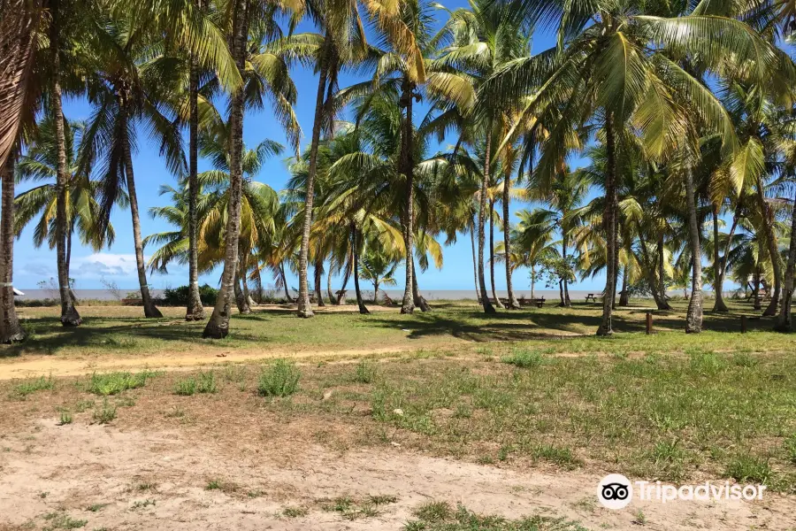 Plage des Hattes