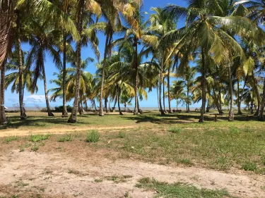 St-Laurent du Maroni