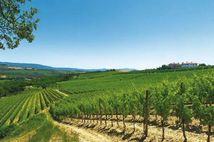Hotels near Roccafiore Winery