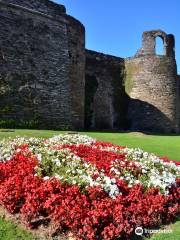 The Roman Walls of Lugo