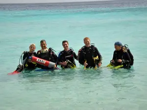 Red Snapper Diving